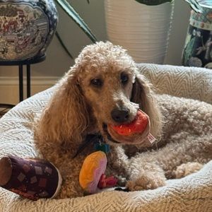 Meet your Posher, Gabriella